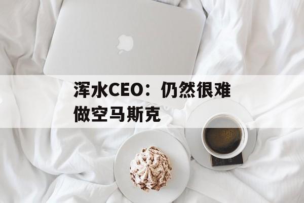 浑水CEO：仍然很难做空马斯克