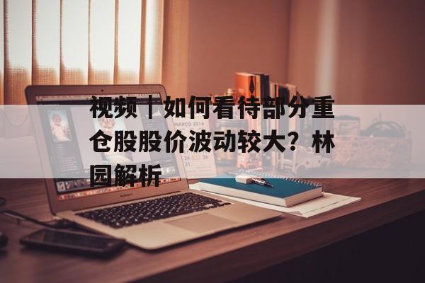 视频|如何看待部分重仓股股价波动较大?林园解析 视频|如何看待部分重仓股股价波动较大?林园解析