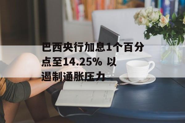 巴西央行加息1个百分点至14.25% 以遏制通胀压力 巴西央行加息1个百分点至14.25% 以遏制通胀压力