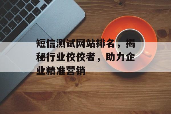 短信测试网站排名，揭秘行业佼佼者，助力企业精准营销