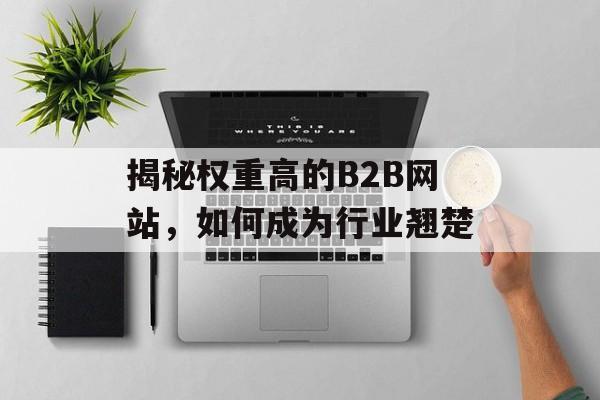 揭秘权重高的B2B网站,如何成为行业翘楚 揭秘权重高的B2B网站,如何成为行业翘楚