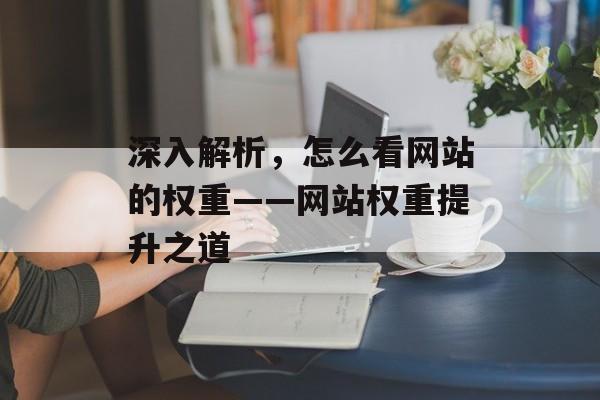 深入解析，怎么看网站的权重——网站权重提升之道