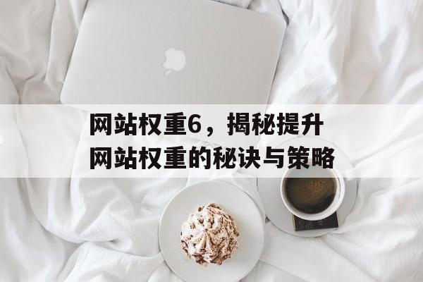网站权重6,揭秘提升网站权重的秘诀与策略 网站权重6,揭秘提升网站权重的秘诀与策略