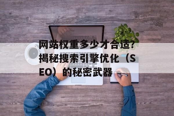 网站权重多少才合适?揭秘搜索引擎优化(SEO)的秘密武器 网站权重多少才合适?揭秘搜索引擎优化(SEO)的秘密武器