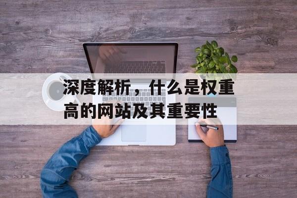 深度解析，什么是权重高的网站及其重要性