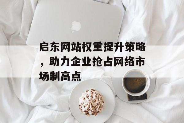 启东网站权重提升策略，助力企业抢占网络市场制高点