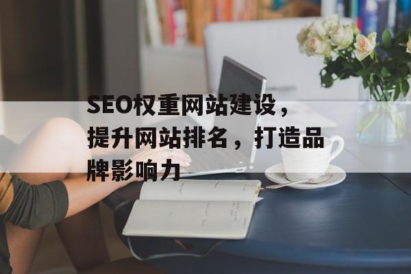 SEO权重网站建设，提升网站排名，打造品牌影响力