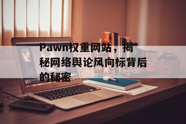 Pawn权重网站，揭秘网络舆论风向标背后的秘密
