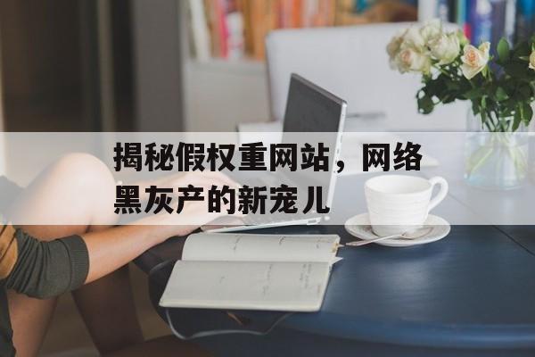 揭秘假权重网站,网络黑灰产的新宠儿 揭秘假权重网站,网络黑灰产的新宠儿