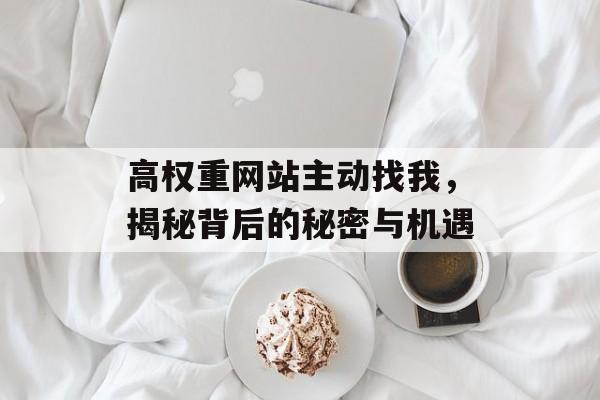 高权重网站主动找我,揭秘背后的秘密与机遇 高权重网站主动找我,揭秘背后的秘密与机遇