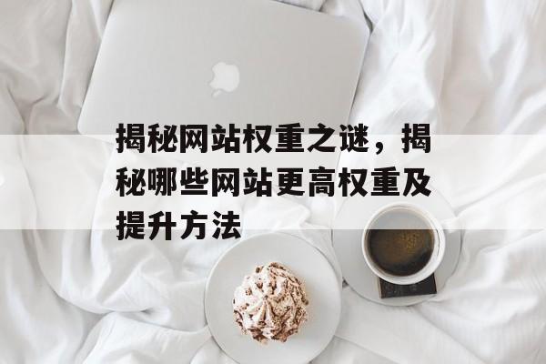揭秘网站权重之谜，揭秘哪些网站更高权重及提升方法