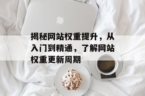 揭秘网站权重提升，从入门到精通，了解网站权重更新周期