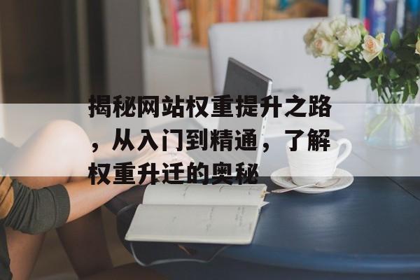 揭秘网站权重提升之路，从入门到精通，了解权重升迁的奥秘
