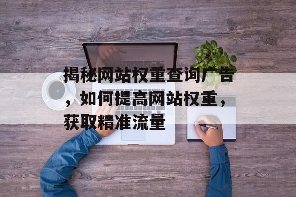 揭秘网站权重查询广告，如何提高网站权重，获取精准流量