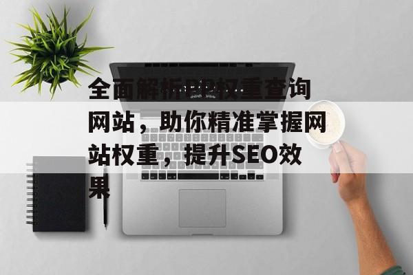全面解析PP权重查询网站，助你精准掌握网站权重，提升SEO效果
