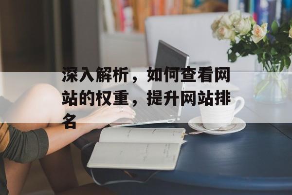 深入解析,如何查看网站的权重,提升网站排名 深入解析,如何查看网站的权重,提升网站排名