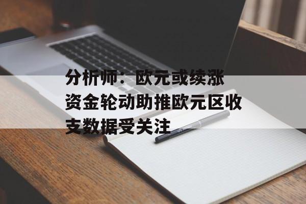 分析师：欧元或续涨 资金轮动助推欧元区收支数据受关注
