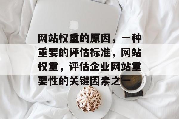 网站权重的原因，一种重要的评估标准，网站权重，评估企业网站重要性的关键因素之一