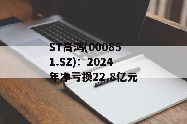ST高鸿(000851.SZ):2024年净亏损22.8亿元 ST高鸿(000851.SZ):2024年净亏损22.8亿元