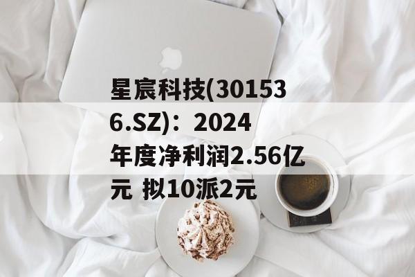 星宸科技(301536.SZ):2024年度净利润2.56亿元 拟10派2元 星宸科技(301536.SZ):2024年度净利润2.56亿元 拟10派2元