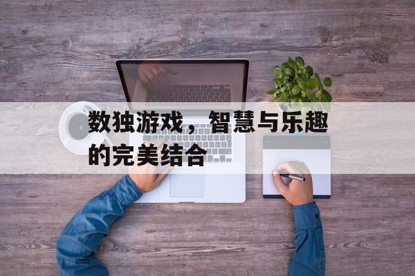 数独游戏,智慧与乐趣的完美结合 数独游戏,智慧与乐趣的完美结合