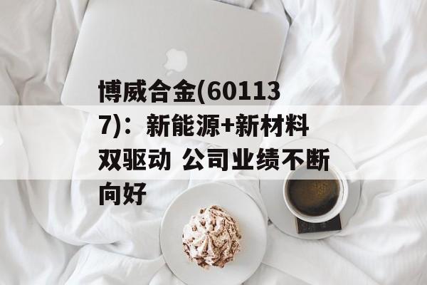 博威合金(601137):新能源+新材料双驱动 公司业绩不断向好 博威合金(601137):新能源+新材料双驱动 公司业绩不断向好