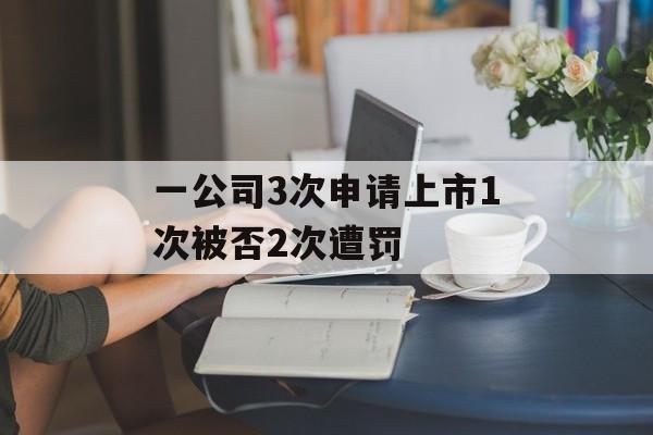 一公司3次申请上市1次被否2次遭罚 一公司3次申请上市1次被否2次遭罚