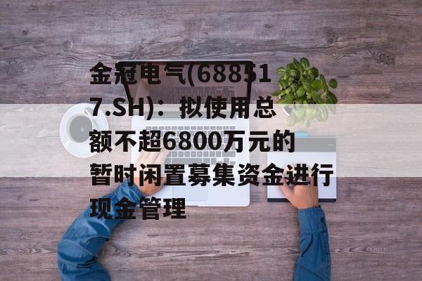金冠电气(688517.SH):拟使用总额不超6800万元的暂时闲置募集资金进行现金管理 金冠电气(688517.SH):拟使用总额不超6800万元的暂时闲置募集资金进行现金管理
