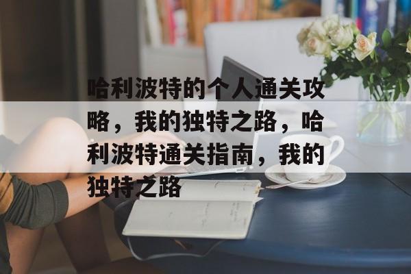 哈利波特的个人通关攻略，我的独特之路，哈利波特通关指南，我的独特之路