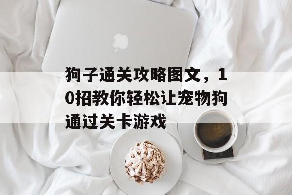 狗子通关攻略图文,10招教你轻松让宠物狗通过关卡游戏 狗子通关攻略图文,10招教你轻松让宠物狗通过关卡游戏