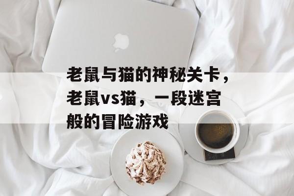 老鼠与猫的神秘关卡,老鼠vs猫,一段迷宫般的冒险游戏 老鼠与猫的神秘关卡,老鼠vs猫,一段迷宫般的冒险游戏