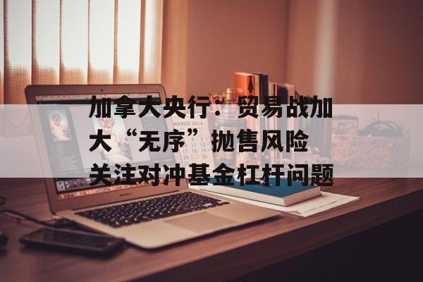 加拿大央行：贸易战加大“无序”抛售风险 关注对冲基金杠杆问题