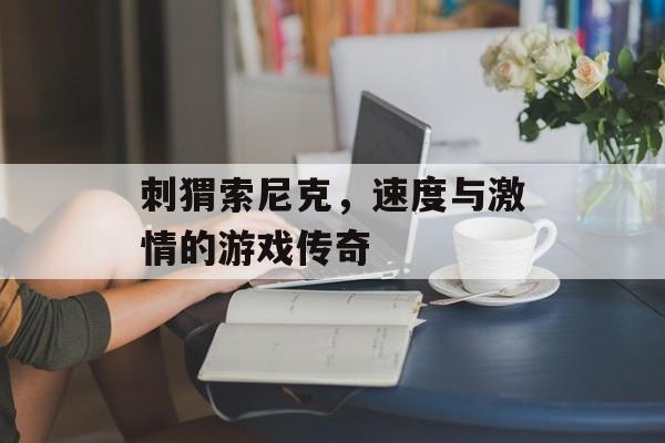 刺猬索尼克,速度与激情的游戏传奇 刺猬索尼克,速度与激情的游戏传奇