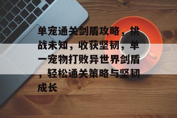 单宠通关剑盾攻略,挑战未知,收获坚韧,单一宠物打败异世界剑盾,轻松通关策略与坚韧成长 单宠通关剑盾攻略,挑战未知,收获坚韧,单一宠物打败异世界剑盾,轻松通关策略与坚韧成长