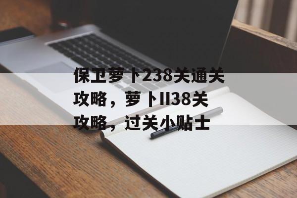 保卫萝卜238关通关攻略，萝卜II38关攻略，过关小贴士