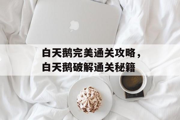 白天鹅完美通关攻略,白天鹅破解通关秘籍 白天鹅完美通关攻略,白天鹅破解通关秘籍