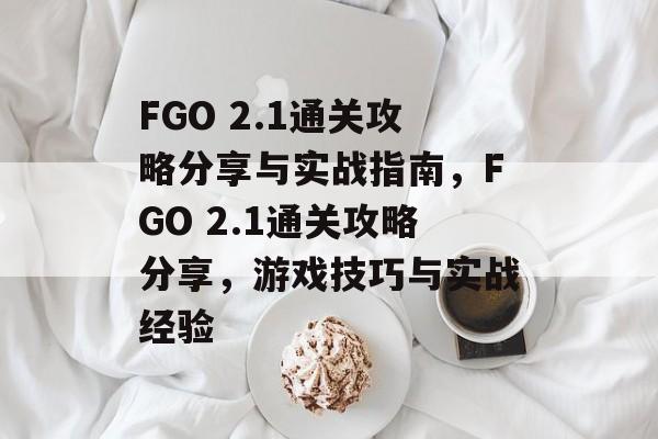 FGO 2.1通关攻略分享与实战指南，FGO 2.1通关攻略分享，游戏技巧与实战经验