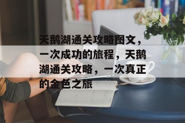 天鹅湖通关攻略图文,一次成功的旅程,天鹅湖通关攻略,一次真正的金色之旅 天鹅湖通关攻略图文,一次成功的旅程,天鹅湖通关攻略,一次真正的金色之旅