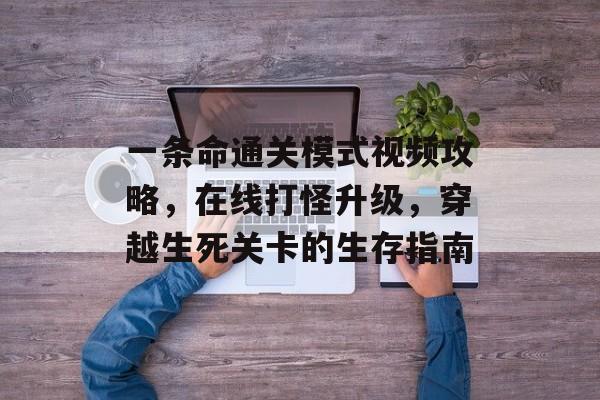 一条命通关模式视频攻略,在线打怪升级,穿越生死关卡的生存指南 一条命通关模式视频攻略,在线打怪升级,穿越生死关卡的生存指南