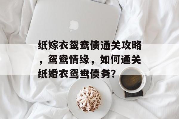纸嫁衣鸳鸯债通关攻略，鸳鸯情缘，如何通关纸婚衣鸳鸯债务？