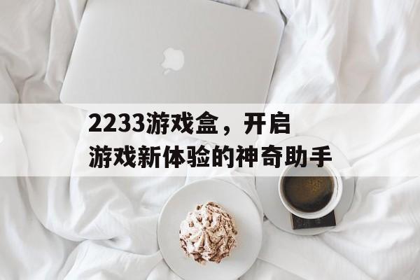 2233游戏盒,开启游戏新体验的神奇助手 2233游戏盒,开启游戏新体验的神奇助手