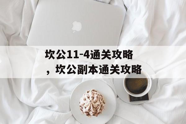 坎公11-4通关攻略，坎公副本通关攻略