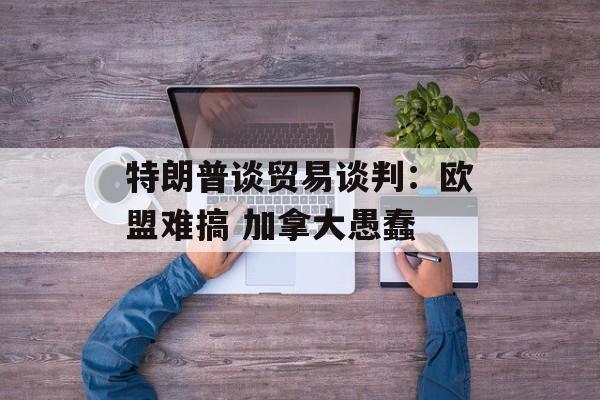 特朗普谈贸易谈判:欧盟难搞 加拿大愚蠢 特朗普谈贸易谈判:欧盟难搞 加拿大愚蠢