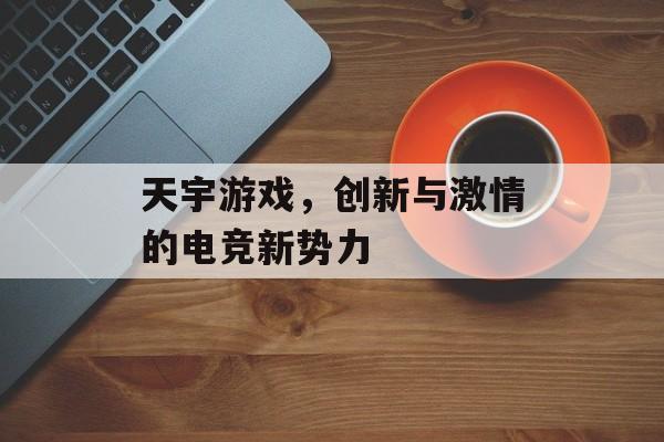 天宇游戏,创新与激情的电竞新势力 天宇游戏,创新与激情的电竞新势力