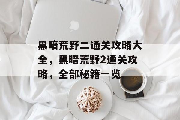 黑暗荒野二通关攻略大全，黑暗荒野2通关攻略，全部秘籍一览