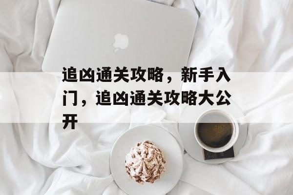 追凶通关攻略,新手入门,追凶通关攻略大公开 追凶通关攻略,新手入门,追凶通关攻略大公开