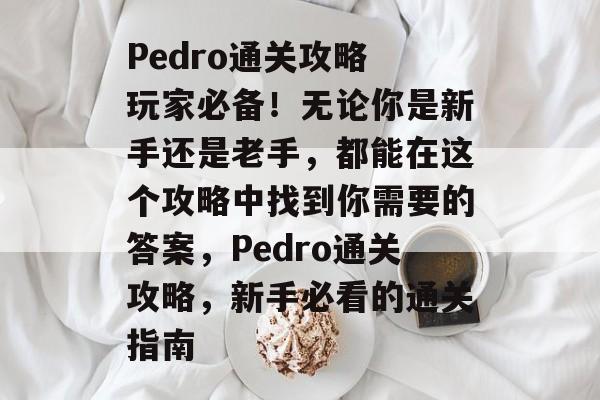 Pedro通关攻略 玩家必备!无论你是新手还是老手,都能在这个攻略中找到你需要的答案,Pedro通关攻略,新手必看的通关指南 Pedro通关攻略 玩家必备!无论你是新手还是老手,都能在这个攻略中找到你需要的答案,Pedro通关攻略,新手必看的通关指南