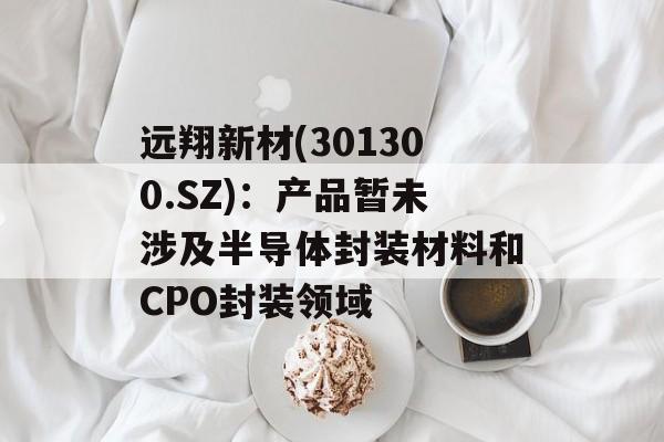 远翔新材(301300.SZ):产品暂未涉及半导体封装材料和CPO封装领域 远翔新材(301300.SZ):产品暂未涉及半导体封装材料和CPO封装领域