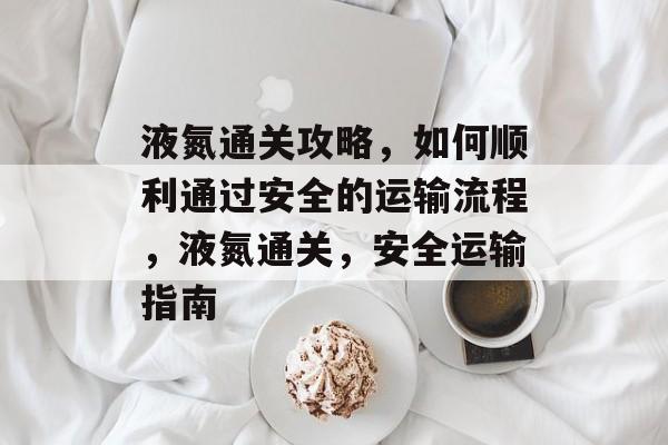 液氮通关攻略,如何顺利通过安全的运输流程,液氮通关,安全运输指南 液氮通关攻略,如何顺利通过安全的运输流程,液氮通关,安全运输指南