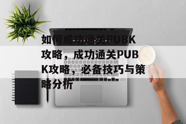如何成功通关PUBK攻略,成功通关PUBK攻略,必备技巧与策略分析 如何成功通关PUBK攻略,成功通关PUBK攻略,必备技巧与策略分析